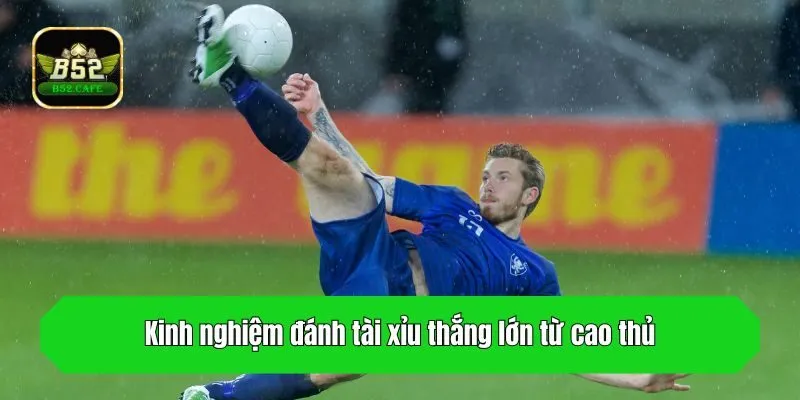 Kinh nghiệm đánh tài xỉu thắng lớn từ cao thủ